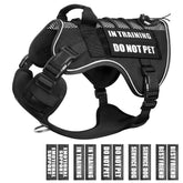 Harnais WINSEE en mesh respirant pour chien en formation, confort et air frais.