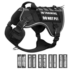 Harnais WINSEE en mesh respirant pour chien en formation, confort et air frais.