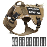 Harnais WINSEE mesh respirant pour chien en formation, confort amélioré et air.
