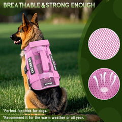 Harnais WINSEE maille système MOLLE et poignée double pour organiser les accessoires.