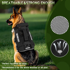 Harnais WINSEE MOLLE avec poches externes pour chien.