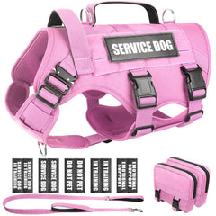 WINSEE harnais tactique pour chien avec MOLLE, prêt pour l'entraînement.