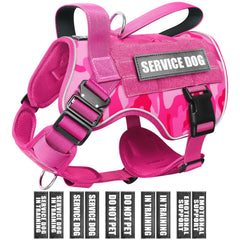 Harnais tactique WINSEE pour chien moyen, vue avant avec patches