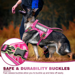 WINSEE harnais tactique chien système MOLLE et patches personnalisables.