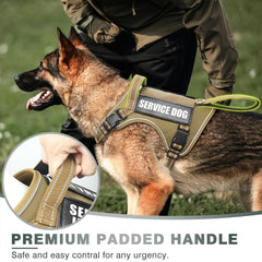 Harnais WINSEE tactique — système MOLLE pour patches personnalisables et accessoires.