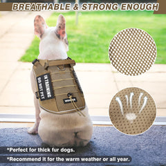 WINSEE patches chien ensemble pour personnalisation et signalétique.