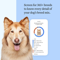 Wisdom Panel: écouvillon stérile pour prélever l ADN de votre chien