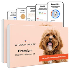 Wisdom Panel Premium Kit ADN Chien — emballage prêt à l'emploi pour démarrer rapidement l analyse