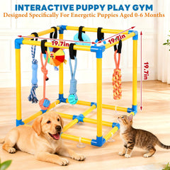 Jouets suspendus amovibles élargissant les possibilités de jeu pour chiots
