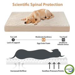 WNPETHOME lit-chien mousse nid-dabeille haute densite assure un soutien uniforme