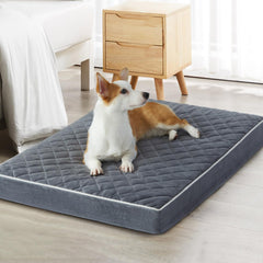 WNPETHOME lit chien orthopédique sur velours doux, confort et chaleur.