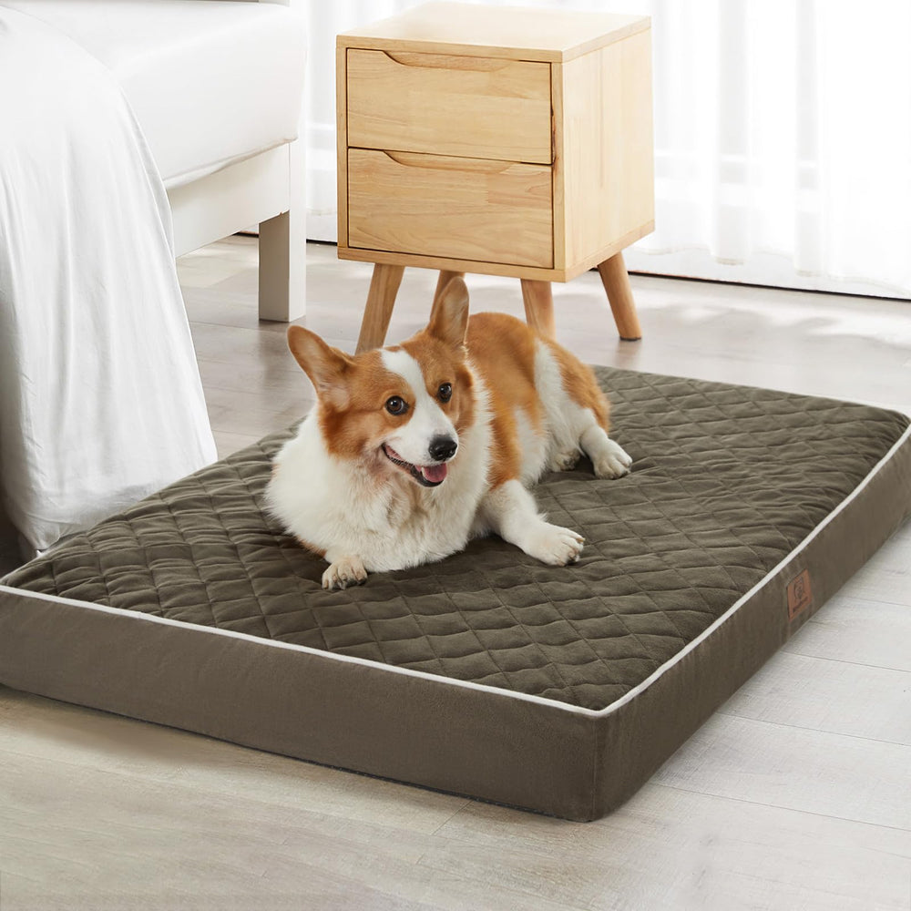 wnpethome lit en velours quilté, douceur et confort pour chien.