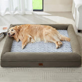 WNPETHOME XL lit-chien velours: confort doux pour les siestes.