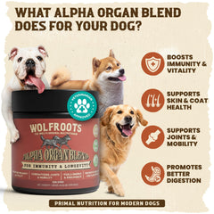 WolfRoots Alpha Mélange d'organes: doseur intégré facilitant le dosage quotidien.