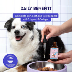 Wonder Paws Collagène pour chiens, pelage brillant et douceur du poil.