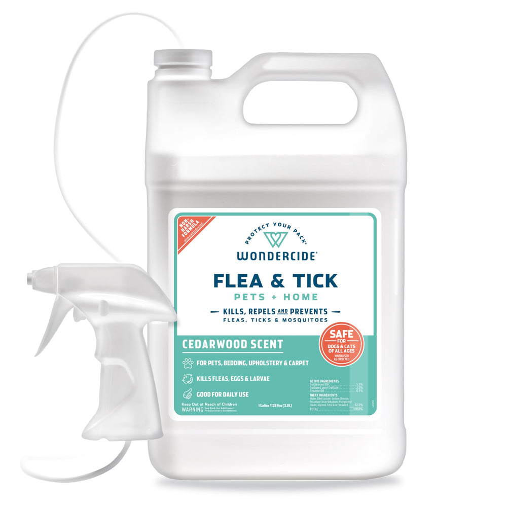 Wondercide spray anti-puces et moustiques pour chiens et chats, usage pratique.