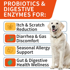 WONTECHMI Probiotiques chien — emballage pratique facilitant les repas.