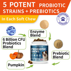 WONTECHMI Probiotiques chien — goût canard et soutien digestif potentiel.