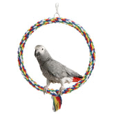 Wontee balancoire corde oiseau couleur avec stimulation et amusement.
