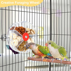 Wontee roue-forage-oiseaux transparente-multi-chambres: stimulation mentale grâce à plusieurs zones.