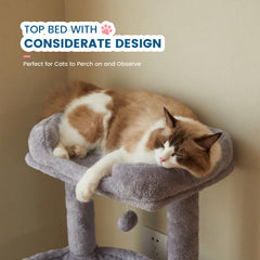 WOODPURR Arbre chat 32 pouces poteaux sisal pour griffage et protection du mobilier.