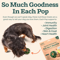 WOOF Pupsicle: aventure-randonnee-chien, snack pratique en plein air.