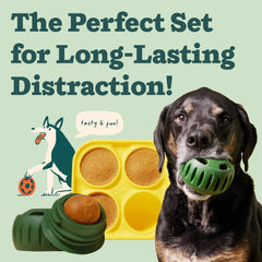 WOOF Pupsicle: couvercle amovible facilitant le rangement et le lavage.