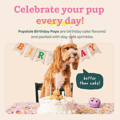 WOOF Pupsicle-remplis-prefabriques : pratique et propre.