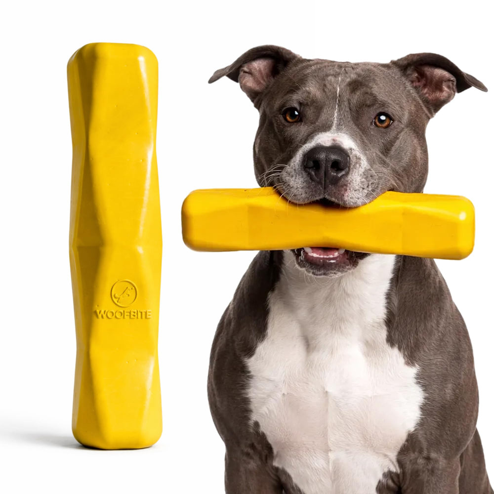 WoofBite bâton géant XL incassable en action pour mordilage prolongé.