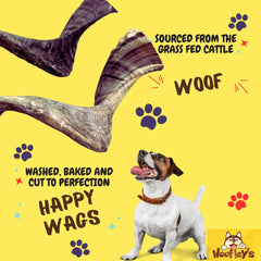 Woofley's Lamb Horn longue-duree, exemple de friandise durable.