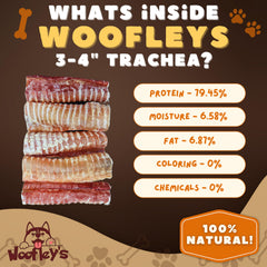 Woofley's trachée de bœuf chien en action, mastication sécurisée.