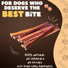 Tranche de boeuf simple Woofley's, ingrédient unique et digestible.