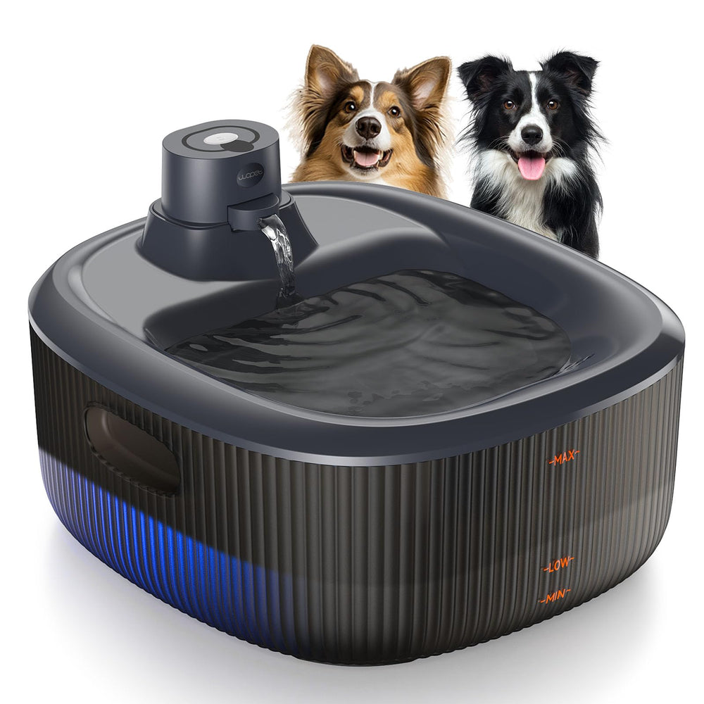 Fontaine d'eau pour chien sans fil WOPET, hydratation pratique sans câble.