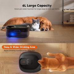 Fontaine WOPET multi-animaux, partage possible, réutilisation simplifiée.
