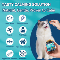 Woyamay bouteille-500-bouchées-chat: routine quotidienne pour le calme.