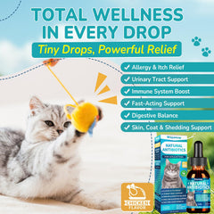 Formule herbes Woyamay pour chat, prébiotiques inclus pour digestion.