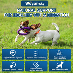 Ingrédients naturels citrouille et lin pour chien avec Woyamay Probiotiques.