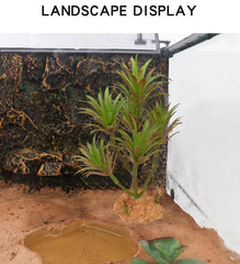 Woyrise Tillandsia : cachette naturelle pour reptiles et amphibiens.
