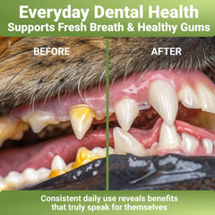 Ingrédients naturels WuffWell pour une hygiène bucco-dentaire douce chez le chien.