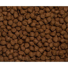 Wysong Fundamentals – prébiotiques et probiotiques inclus pour une digestion confortable.