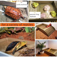XDONEF bol alimentation tortue feuille grand – design esthétique et facile à nettoyer.