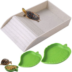 XDONEF lot tortue – vue d’ensemble des bols et rampes dans le terrarium pour un habitat naturel.