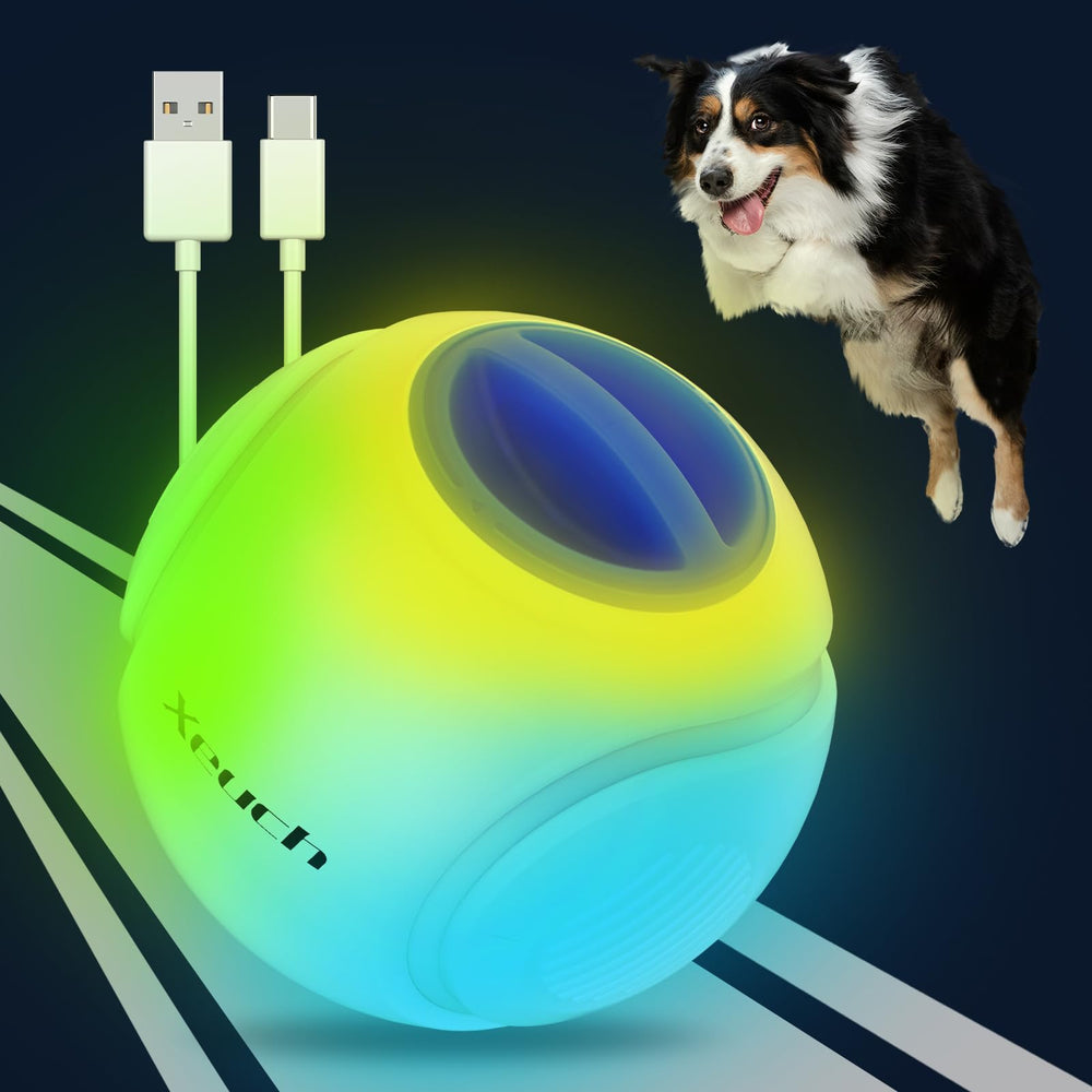 Xeuch balle lumineuse bleue pour chien, idéale pour jeux nocturnes et localisation facile.