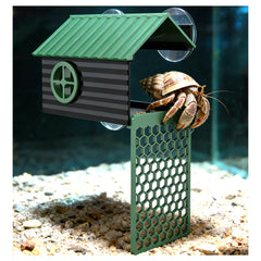 Cachette XIAOXINGYUN pour hermite-crabe, refuge sûr et observation claire