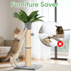 XiaZ arbre chat tige sisal 4,5 pouces pour tous les chats.