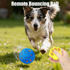 Balle Xingzuan pour chien, rebond dynamique pour des sessions ludiques.