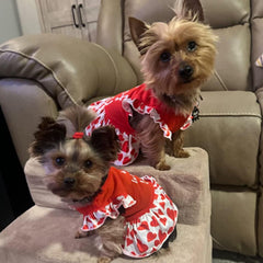 XPUDAC robe-chien femelle fleurs rose, présente pour occasions joyeuses.