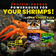 Formule vitamine haute Xtreme Shrimpee pour énergie et vitalité