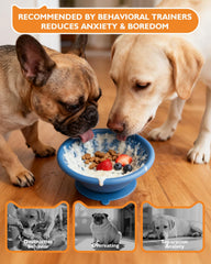 XUOEGUZ assiette chien bord inox intégré durabilité et accès facile