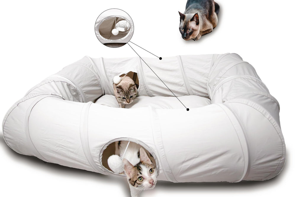 XxingSheep Tunnel XL pour chats avec quatre ouvertures offrant espace de jeu